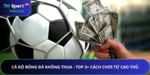 Cá Độ Bóng Đá Không Thua