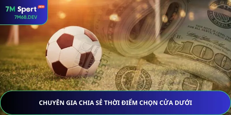 Chuyên gia chia sẻ thời điểm chọn cửa dưới
