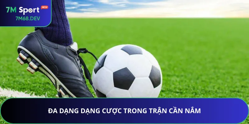 Đa dạng dạng cược trong trận cần nắm