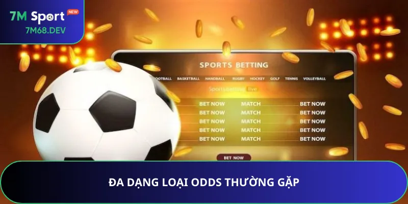 Đa dạng loại Odds thường gặp