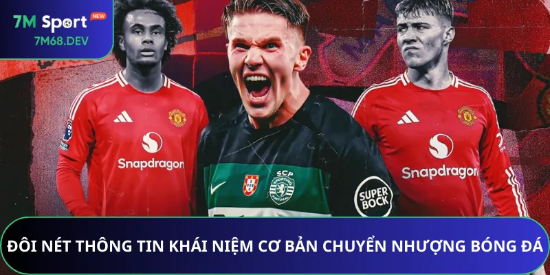 Đôi nét thông tin khái niệm cơ bản chuyển nhượng bóng đá