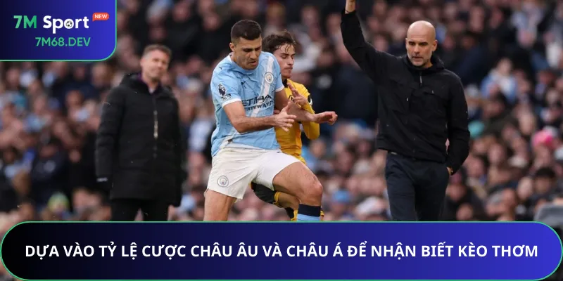 Dựa vào tỷ lệ cược châu Âu và châu Á để nhận biết kèo thơm