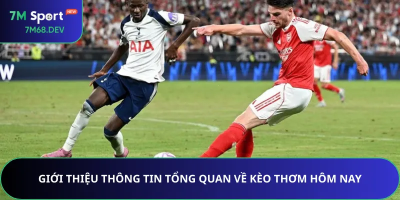 Giới thiệu thông tin tổng quan về kèo thơm hôm nay