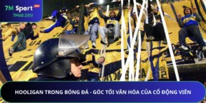 Hooligan Trong Bóng Đá