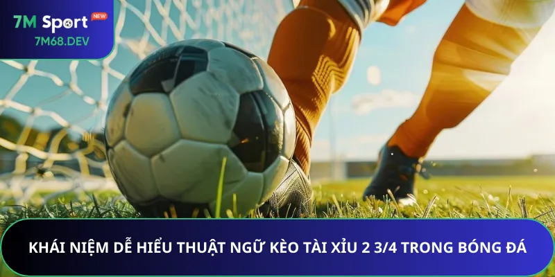 Khái niệm dễ hiểu thuật ngữ kèo Tài Xỉu 2 3/4 trong bóng đá