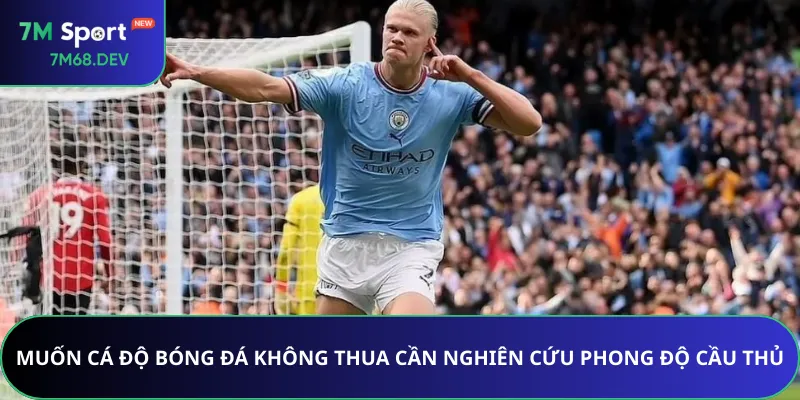 Muốn cá độ bóng đá không thua cần nghiên cứu phong độ cầu thủ