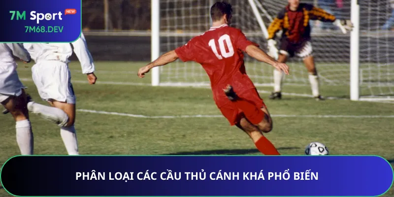 Phân loại các cầu thủ cánh khá phổ biến