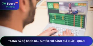 Trang cá độ bóng đá uy tín